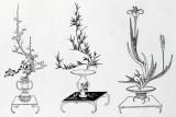 Ikebana